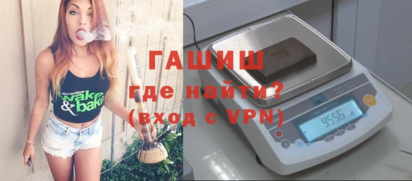 индика Волосово
