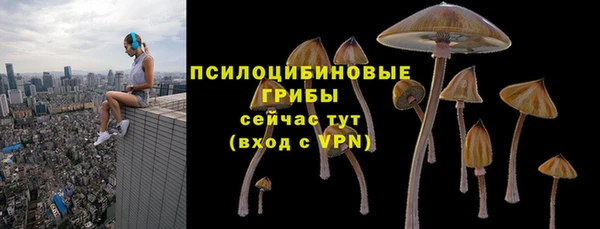 индика Волосово