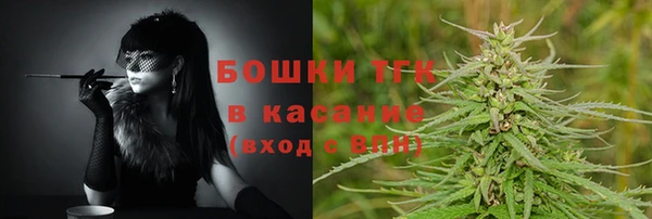 индика Волосово