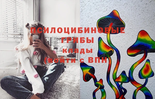 стаф Волоколамск