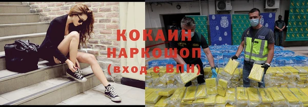 индика Волосово