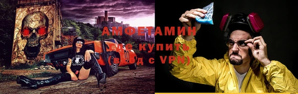 индика Волосово