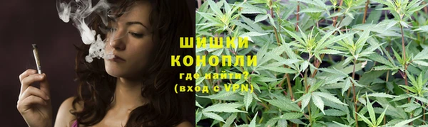 стаф Волоколамск